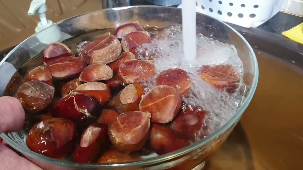 каштаны