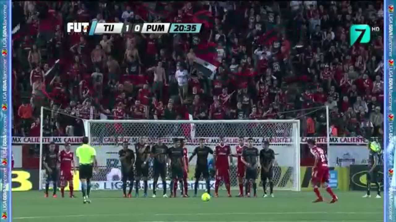 Los Diez Mejores Goles de la Fase Regular Cl2015