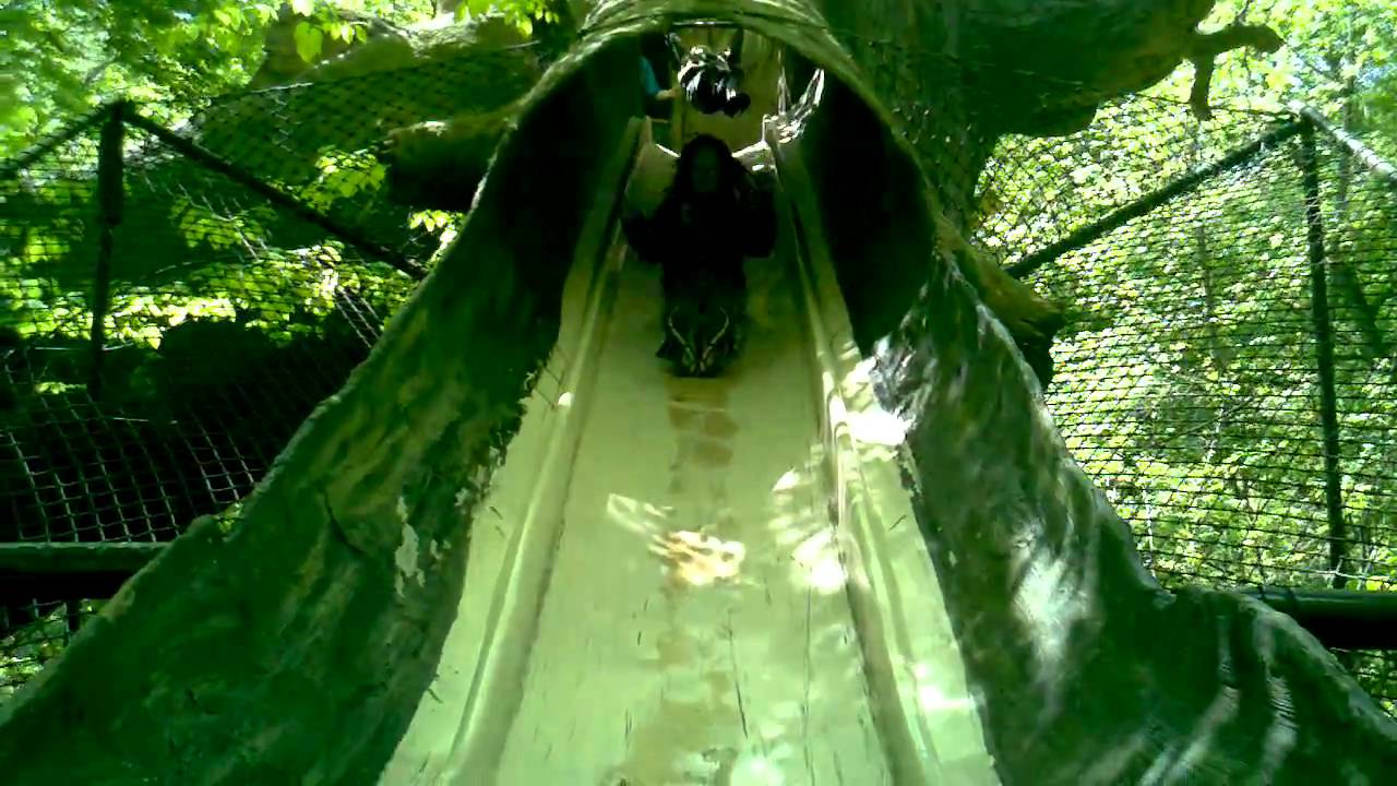 Sarah Tyrrell on the tree slide