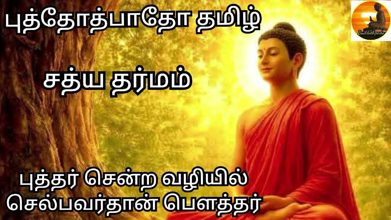புத்தர் சென்ற...63 ( buddothpado tamil )  சத்ய தர்மம்   #buddha #tamil #buddhisam #budhist