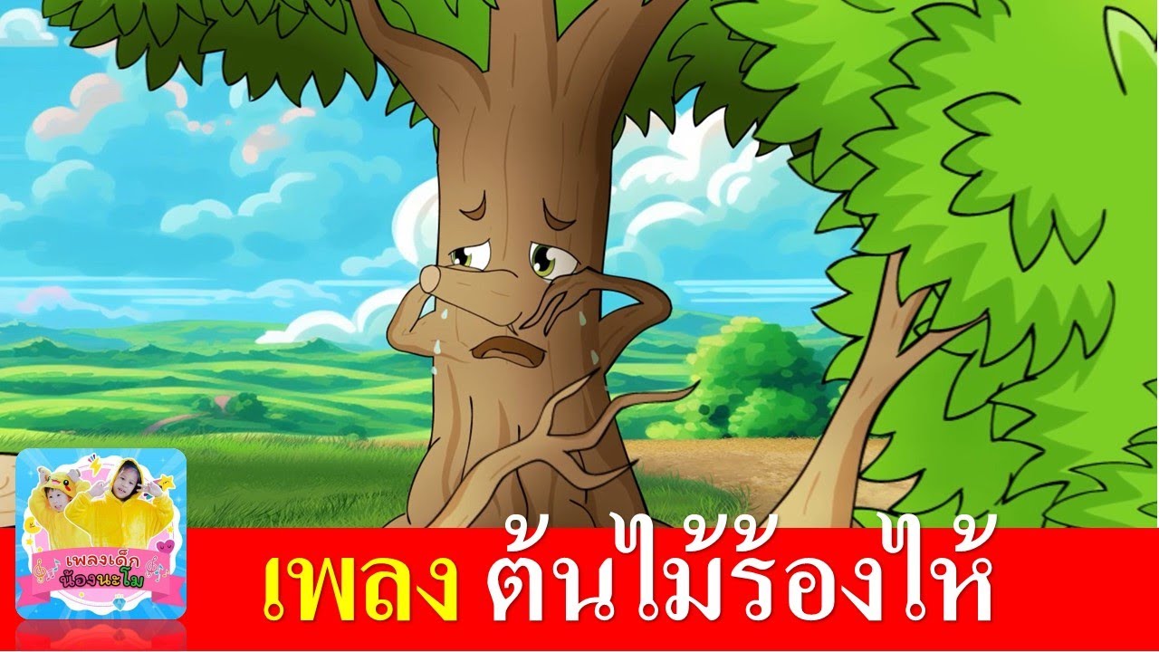 เพลง ต้นไม้ร้องไห้ | เพลงใหม่ 2567