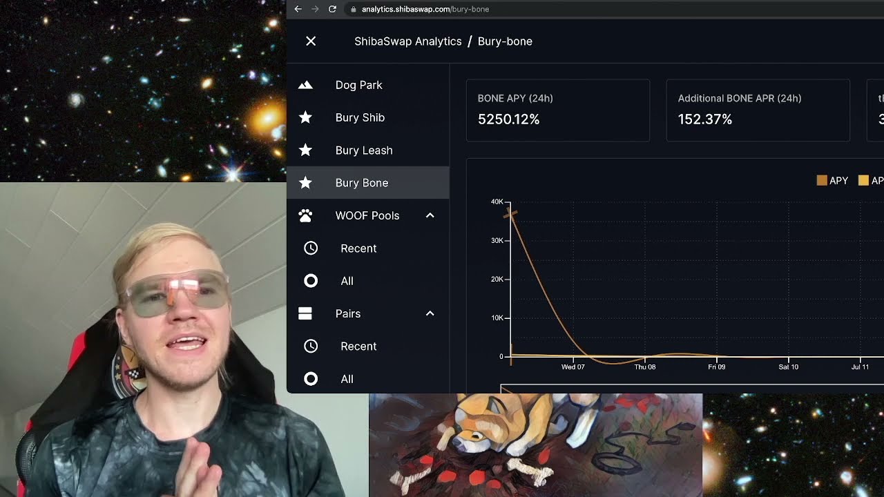 Shibaswap Analytics & How to Un-dig; Back to Original Amount of Tokens