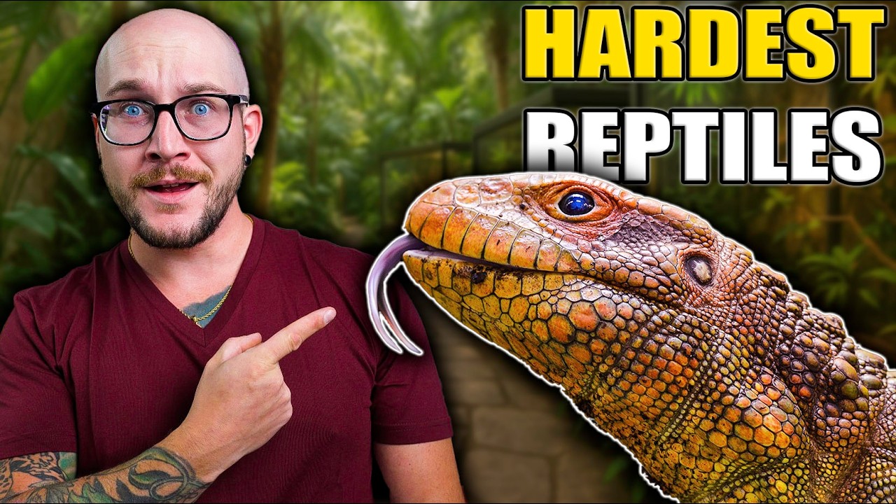 The 5 HARDEST Reptiles To Keep | Get These Instead!