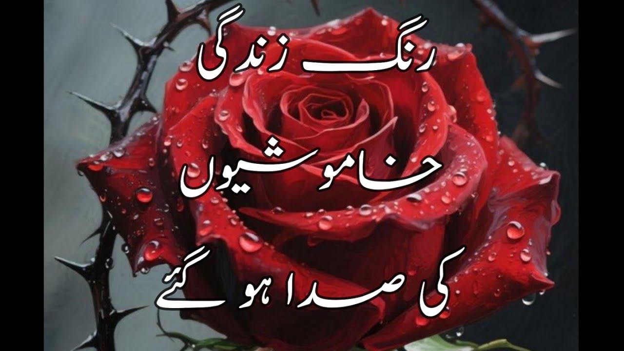 Phile Appse How Juda - Dada Baig  |Sad Urdu Poetry|💔 | 🌙یادیں اور احساسات | 👉|Dada Baig Urdu Poetry|