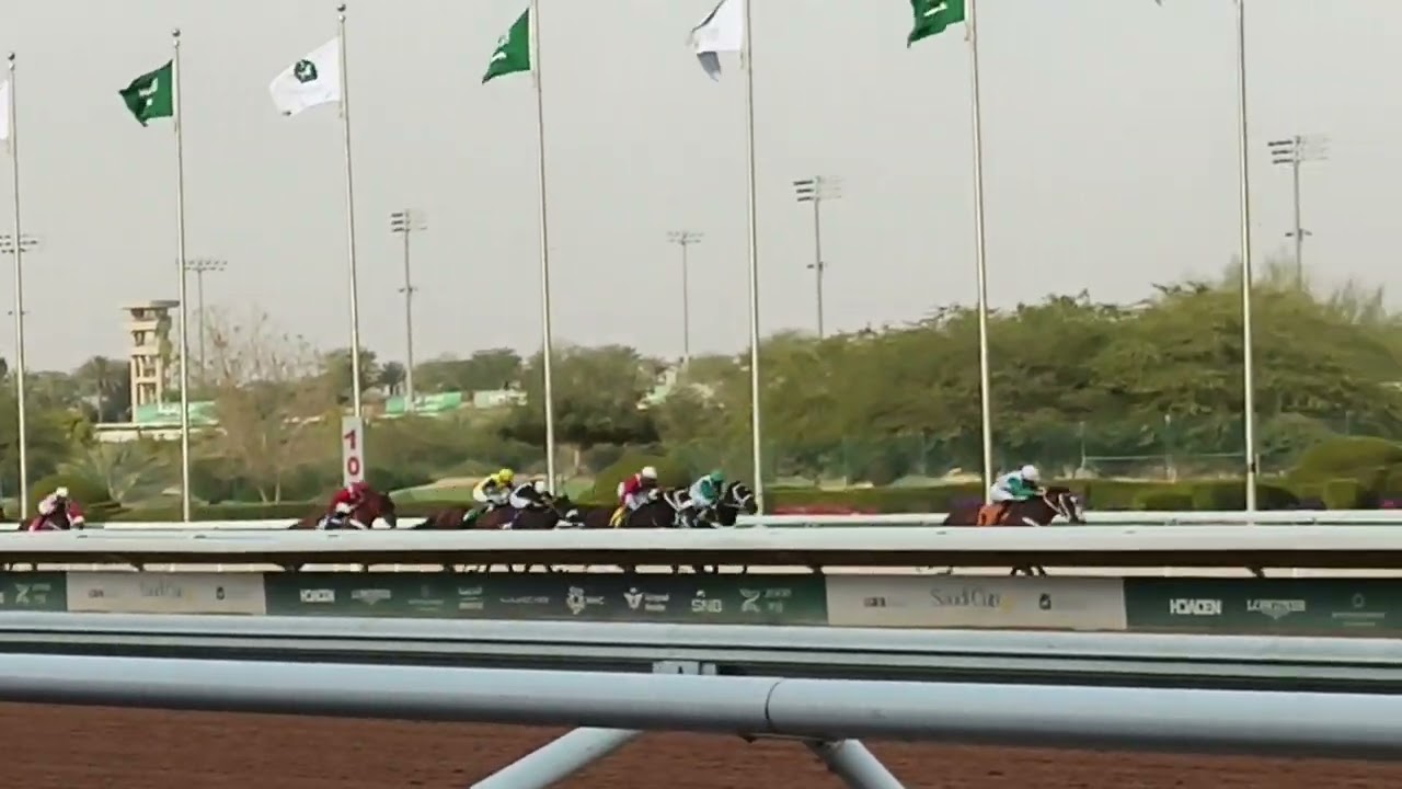 Horses racing jcsa🏇🏇🏇🏇🏇🏇🏇🏇🏇🏇🏇🏇 1200M