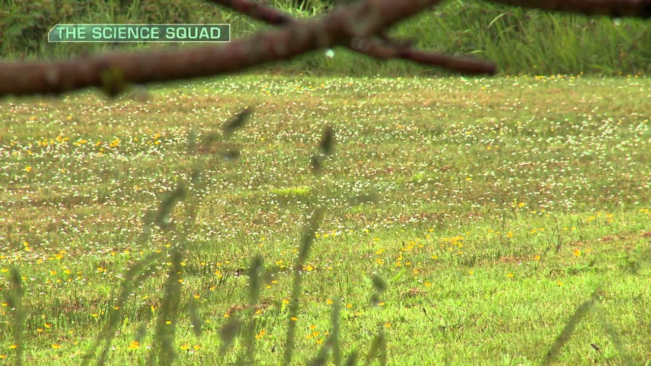 The Science Squad Series Three – Episode 1: Liver Fluke