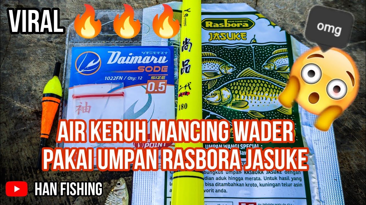 MANCING WADER KALI !!! PAKAI UMPAN RASBORA JASUKE