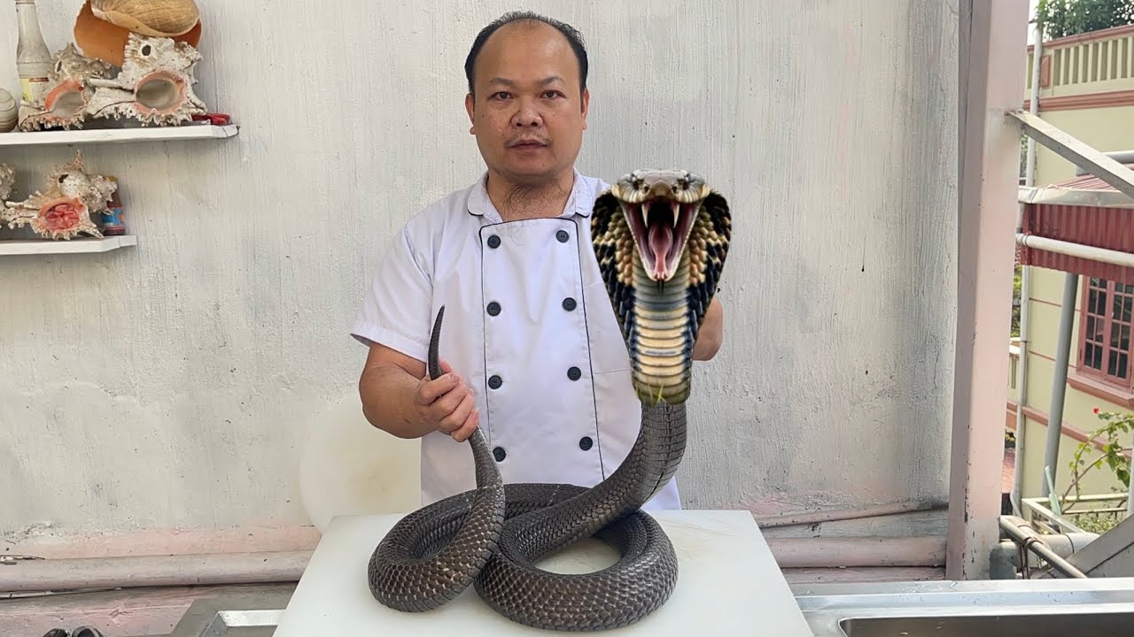 best snake meat recipe // gun chef