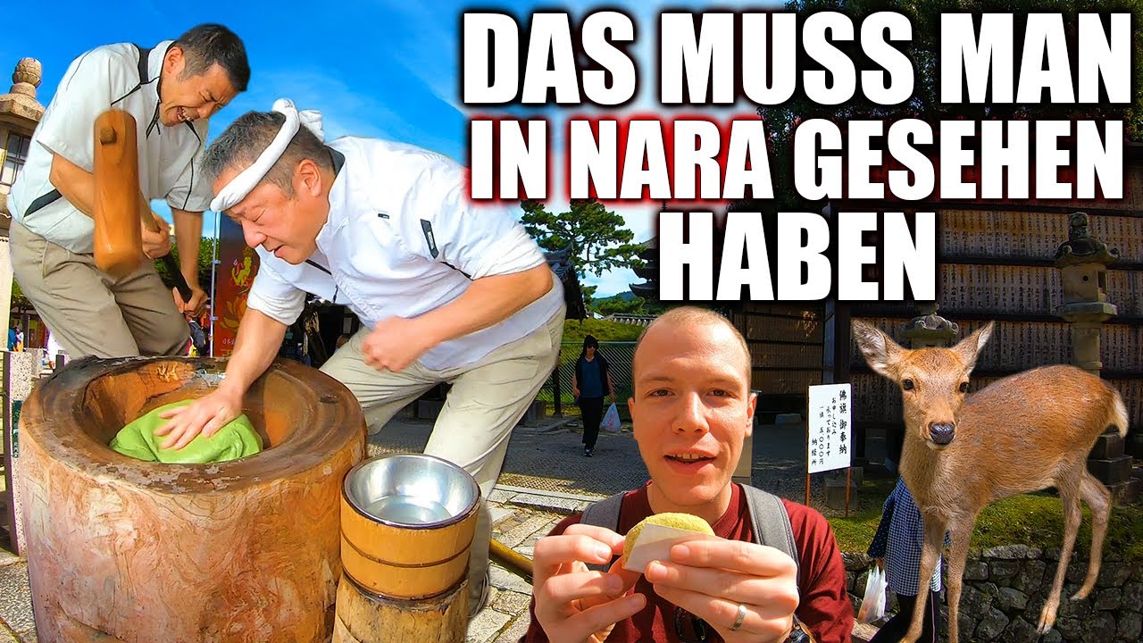 Das sollte man in Nara gesehen haben - Japan Vlog