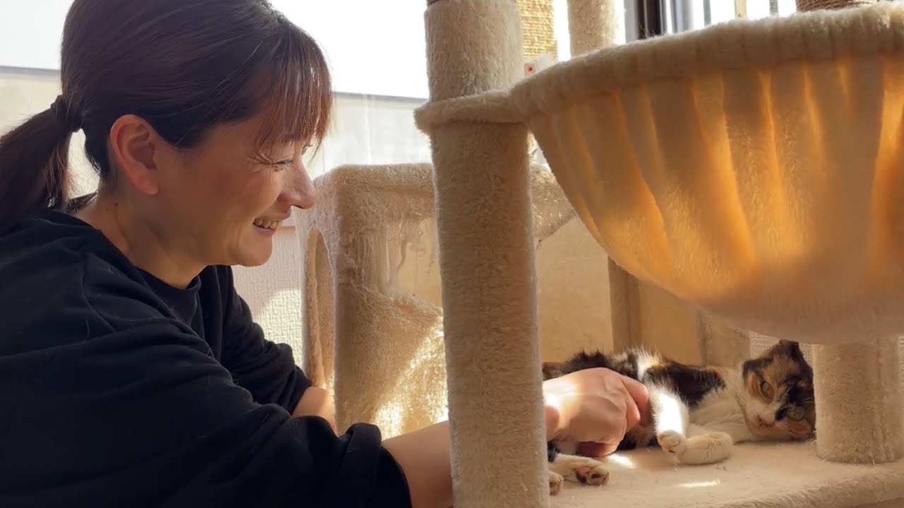 【初公開】保護猫たちの撮影裏側をお見せします