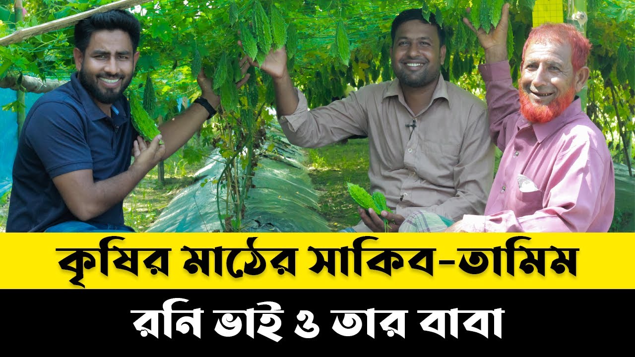 পাবনায় ছক্কা করলা চাষ করে বাবা ছেলের ডাবল সেঞ্চুরি !!😍 বাজারের সেরা জাত ছক্কা করলা |  Agro-1