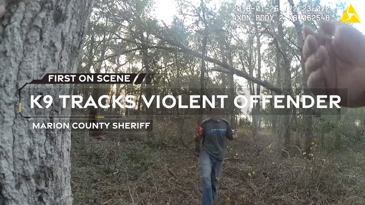 FRN: First on Scene - K9 Tracks Violent Offender