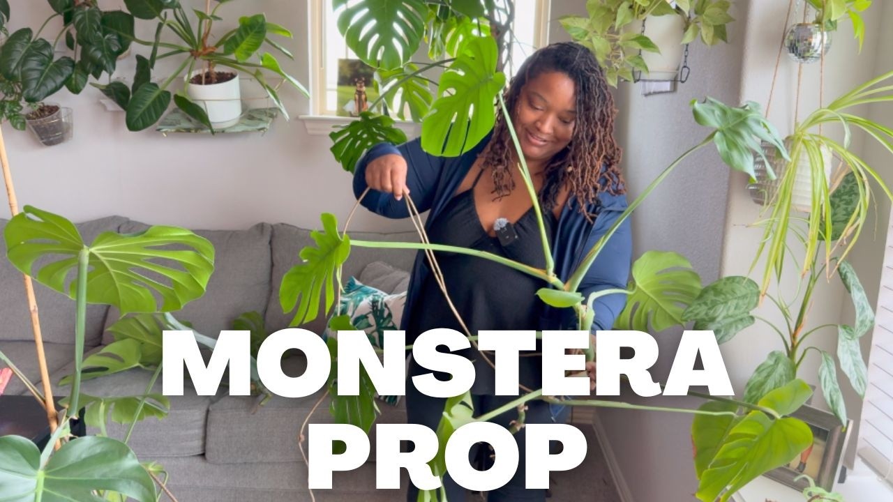 plant chores that were long overdue