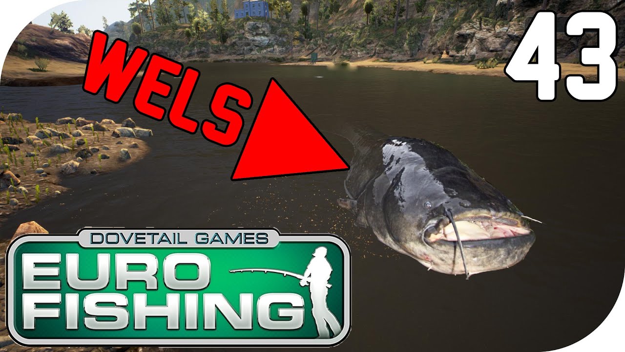 EURO FISHING #43 - Versteckt der Wels sich hier? 🎣 || Let's Play Euro Fishing || German