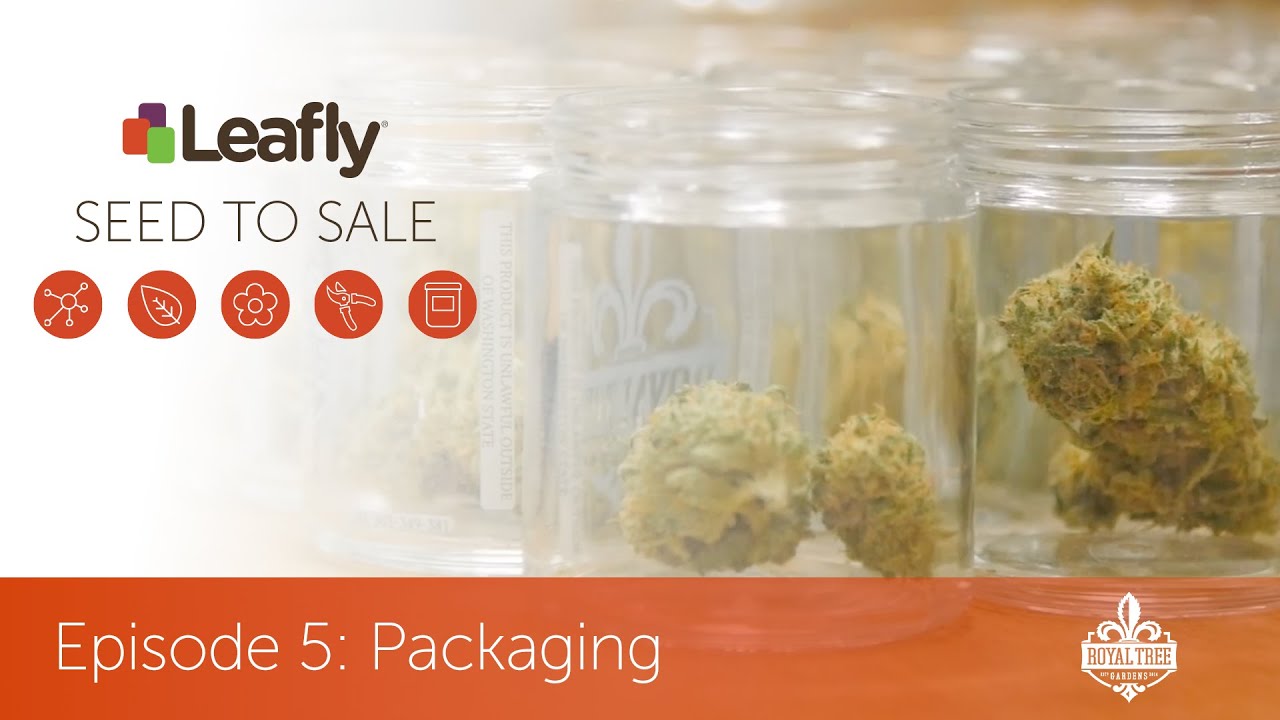 Seed to Sale: How Legal Cannabis is Grown - Episode 5 - Packaging