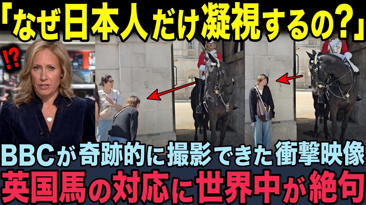 【海外の反応】「日本人は動物に愛されてるの？」BBCが奇跡的に撮影できた衝撃映像。近衛兵の馬に日本人が近づいた瞬間の出来事に世界が絶句！