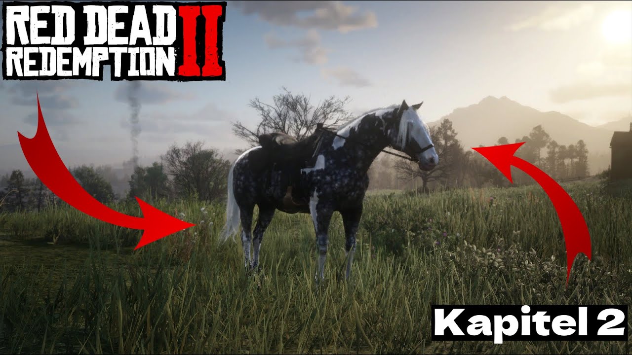 Missouri Foxtotter in Kapitel 2 bekommen | Tutoriell | Red Dead Redemption 2 | RDR 2