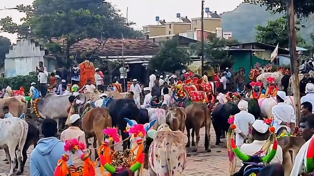 बैल पोळा ♥️✨️( भिलदर) सटाणा, नाशिक #bailpola #satana #nashik 
