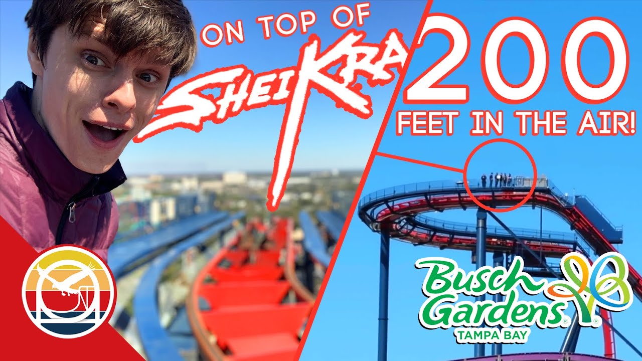 Standing at the Top of a 200+ Foot Tall Coaster! | Sheikra Lift Walk at Busch Gardens Tampa!