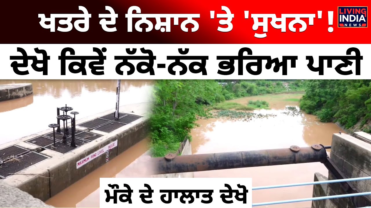 ਖਤਰੇ ਦੇ ਨਿਸ਼ਾਨ 'ਤੇ 'Sukhna Lake '! ਦੇਖੋ ਕਿਵੇਂ ਨੱਕੋ-ਨੱਕ ਭਰਿਆ ਪਾਣੀ,  ਮੌਕੇ ਦੇ ਹਾਲਾਤ ਦੇਖੋ | Water Level