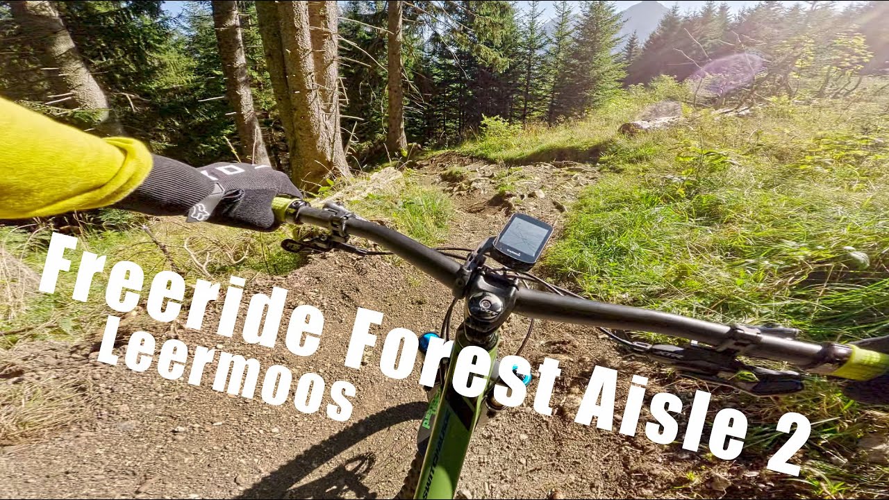 Freeride Strecke Forest Aisle 2 | Zugspitzarena Leermoos | top to bottom