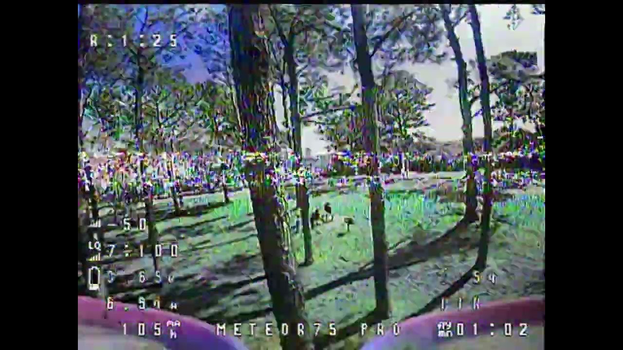 Ripping through the trees 