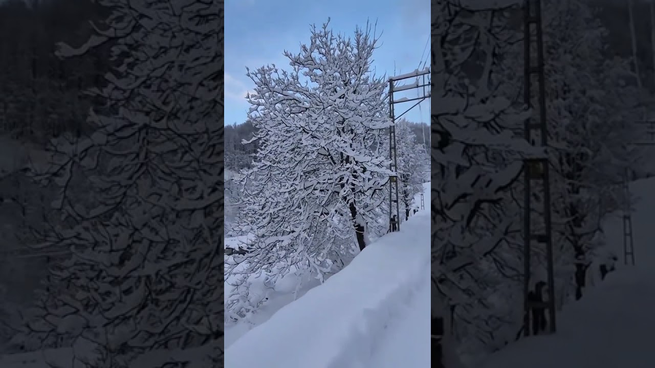 Kastamonu doğanyurt yassıkışla alibey mah