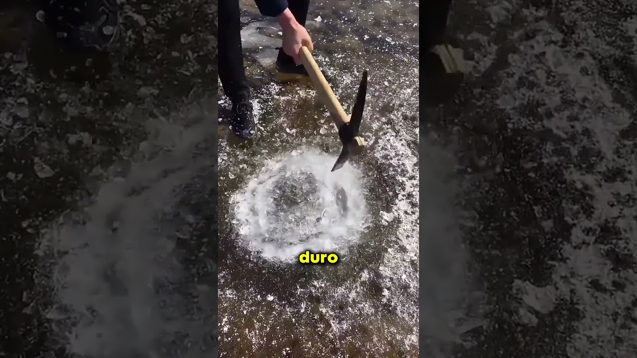 Tesouro congelado descoberto 😱