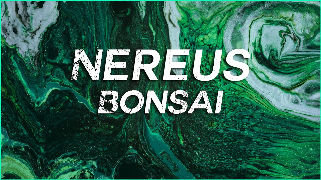 NEREUS - Bonsai