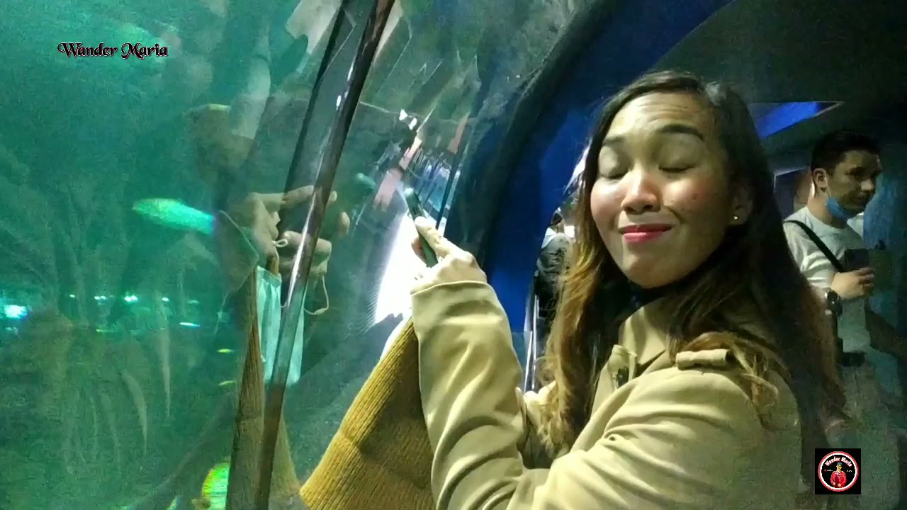 MOSKVARUIM A UNIQUE PLACE IN MOSCOW/OCEANARIUM MOSCOW
