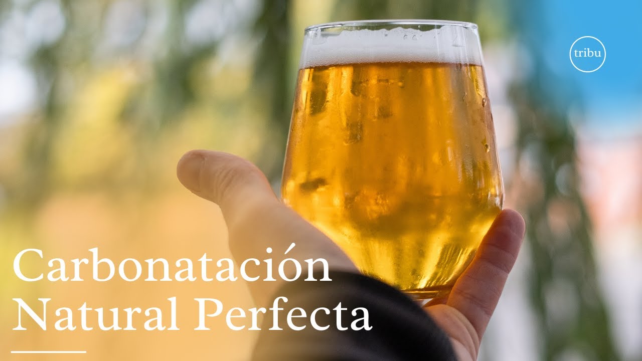 Carbonatación Natural Perfecta de Cerveza Artesanal