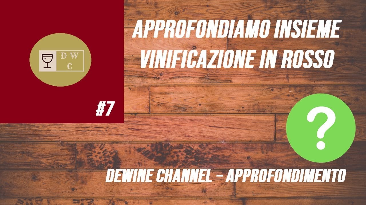 APPROFONDIAMO INSIEME #7 - VINIFICAZIONE IN ROSSO