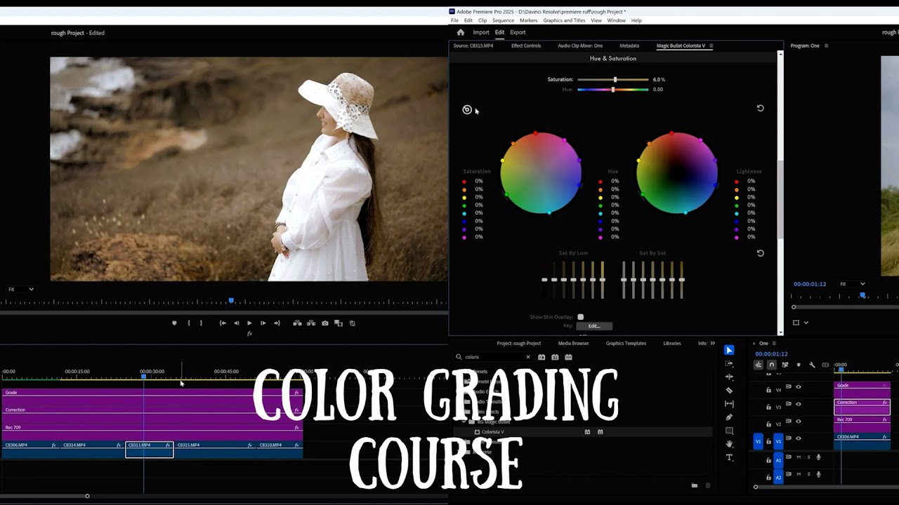 Color Grading Course  2025 | Join Online