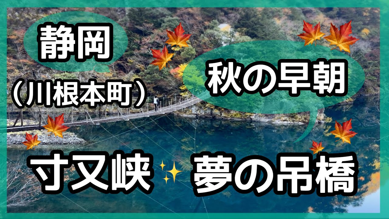 【静岡県・川根本町】秋の早朝☀️寸又峡夢の吊橋