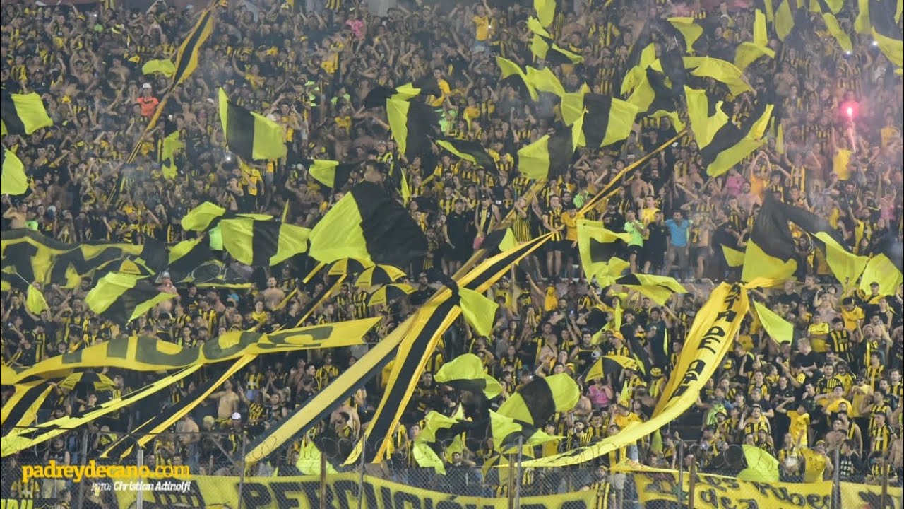 “Gallina te juro no me voy a olvidar...” - Final Clausura 2019