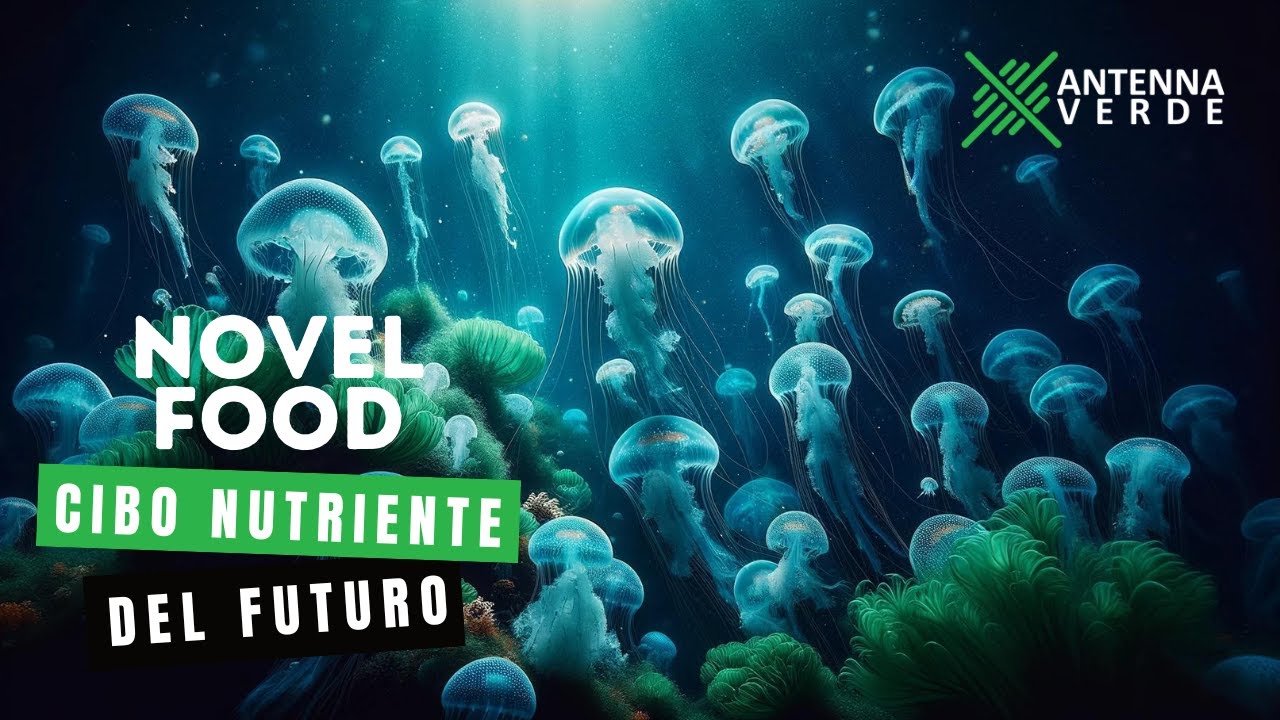 Il Futuro del Cibo: Novel Food, Microalghe e Meduse sulle Nostre Tavole