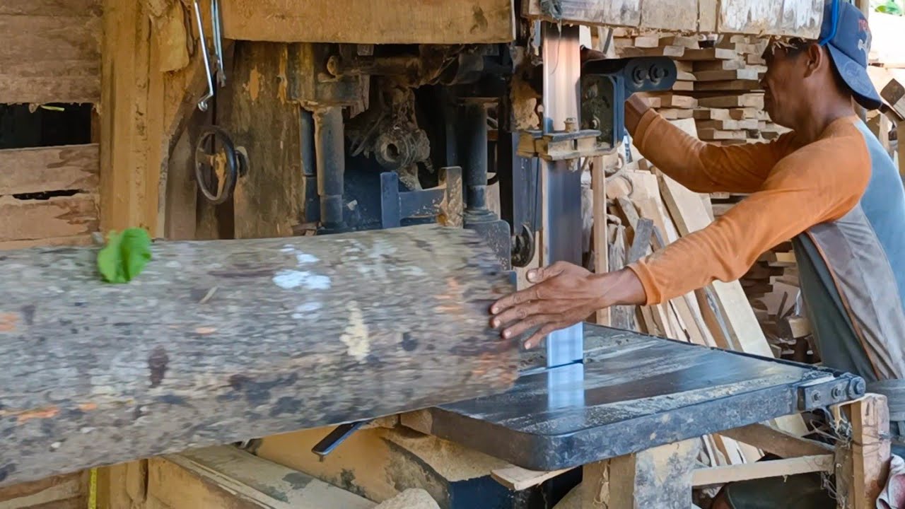 SAWMILL GERGAJI MEMBELAH KAYU WARU TUA DAN KERING