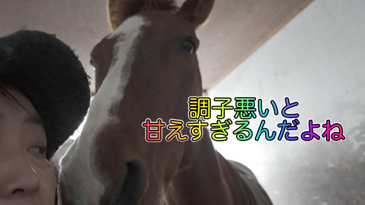 元競走馬タマゴカケゴハン、どんどんひどい状態になり、獣医さんにみてもらう