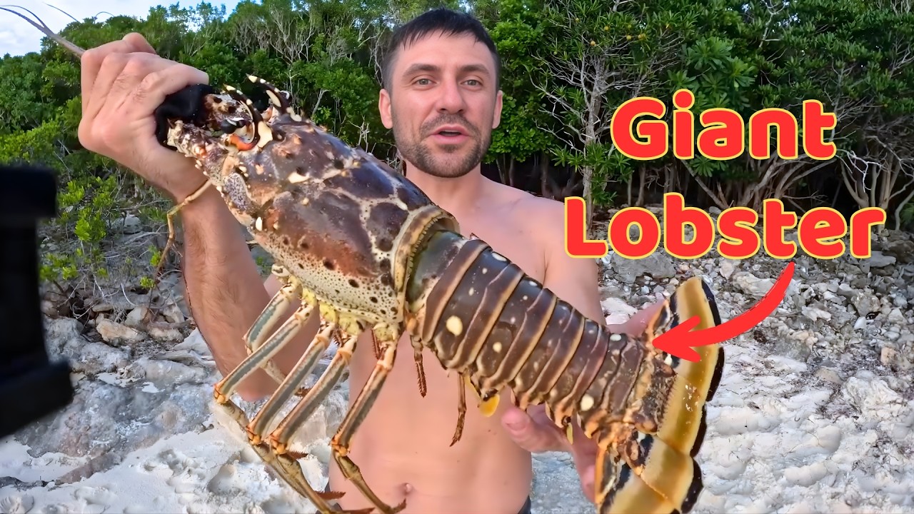 Surviving Alone On Deserted Island - Catching Giant Lobster - Recap Suvival