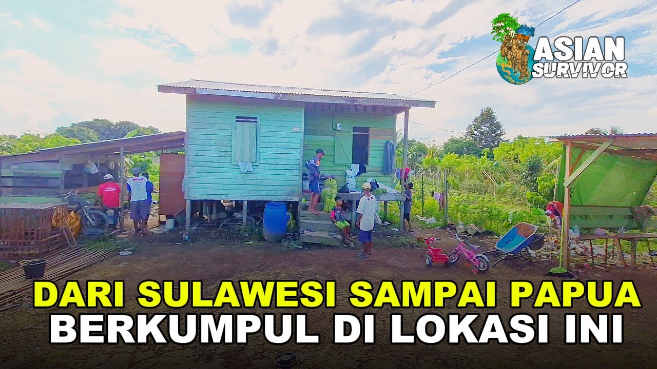 PETANI RANTAU DARI BERBAGAI DAERAH BERMUKIM DI PERMUKIMAN INI; CERITA DARI TRANSMIGRASI KALIMANTAN