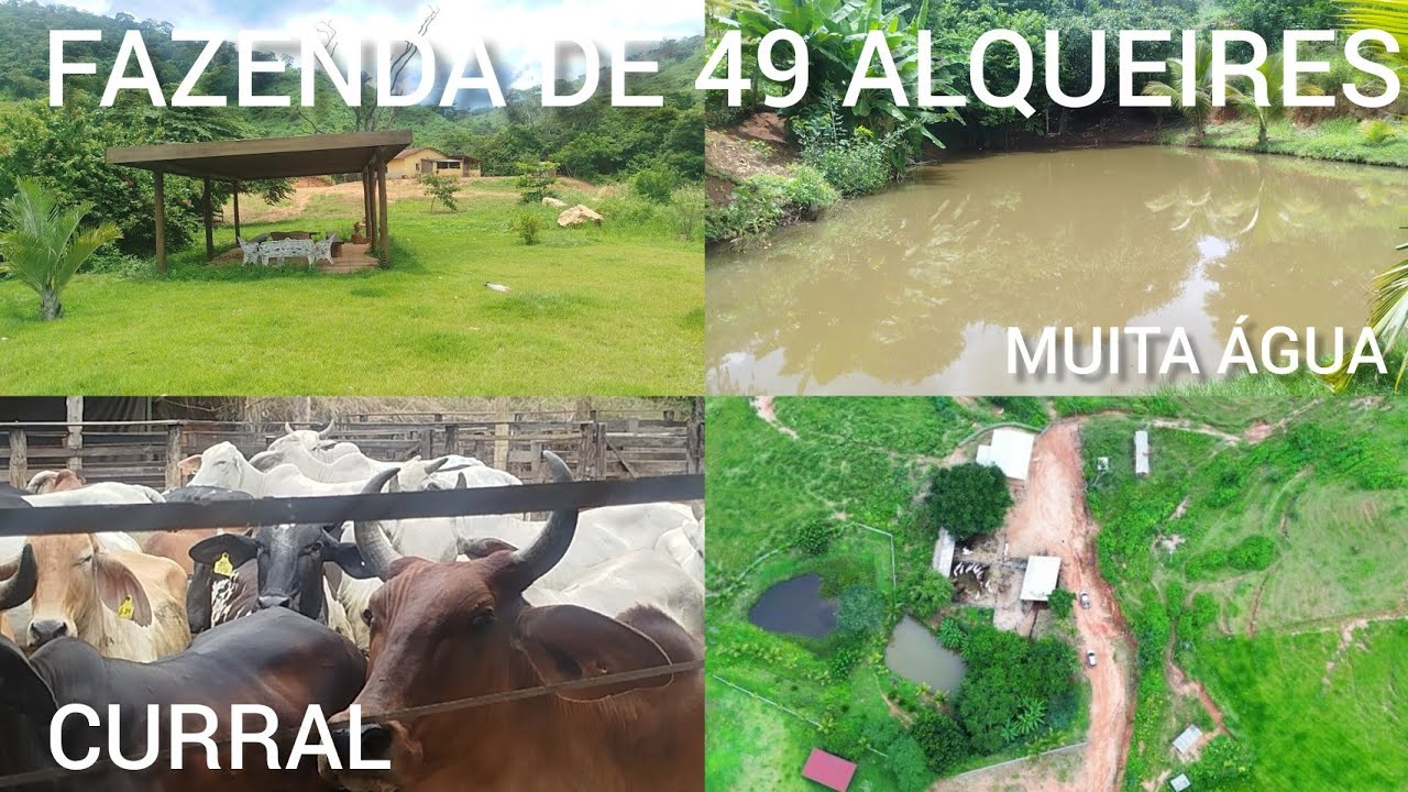 FAZENDA DE 237 HECTARES A VENDA EM INHAPIM.
