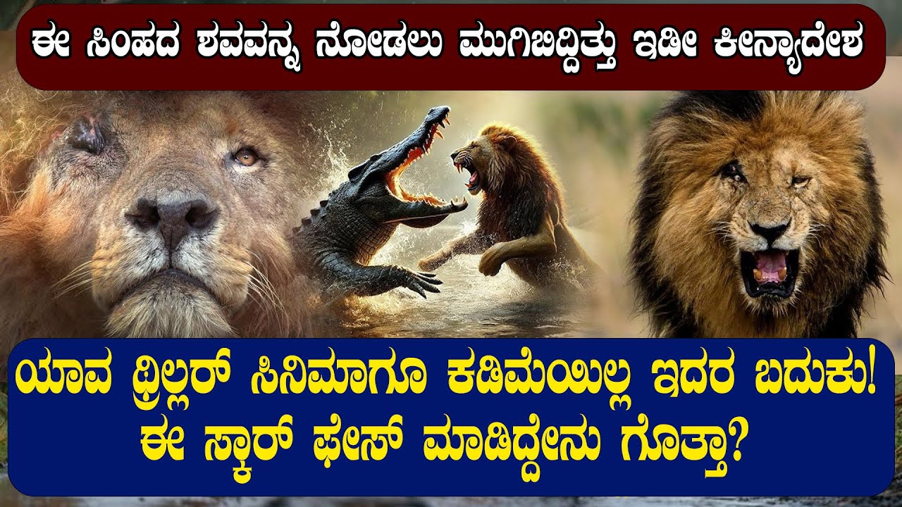 ಈ ಸಿಂಹದ ಶವವನ್ನ ನೋಡಲು ಮುಗಿಬಿದ್ದಿತ್ತು ಇಡೀ ಕೀನ್ಯಾದೇಶ ! STORY OF SCARFACE |LION STORY | NAMMA NAMBIKE |