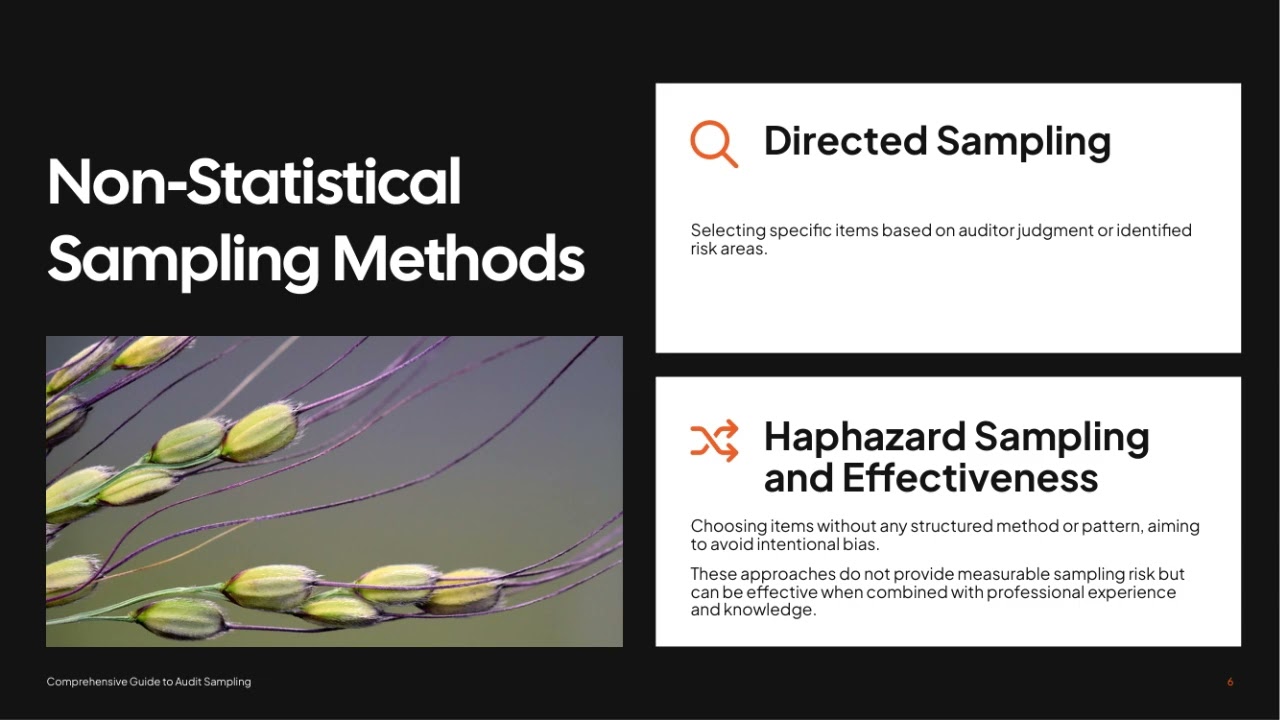 Getting Started With   Audit Sampling