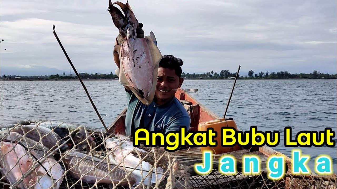 Angkat Bubu Di Laut JANGKA Dapat Cumi Cumi SOTONG