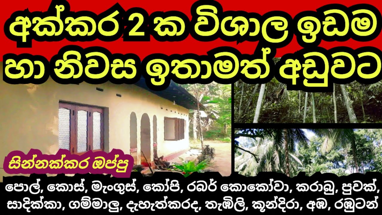 අක්කර 2 ක ඉඩම හා නිවස ඉතාමත්ම අඩුවට | Aduwata idam | Land for sale | idam sale | House for sale