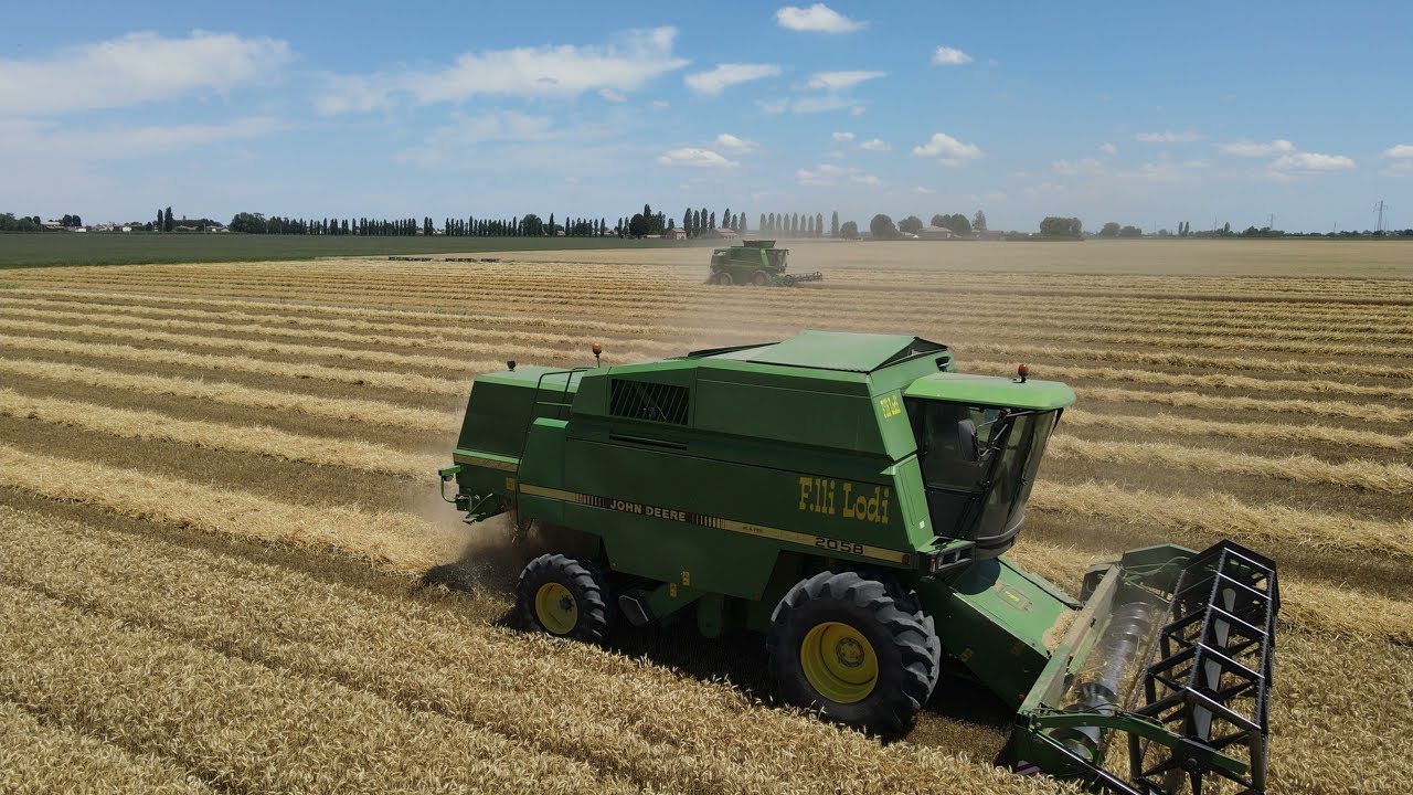TREBBIATURA GRANO F.LLI LODI 2021