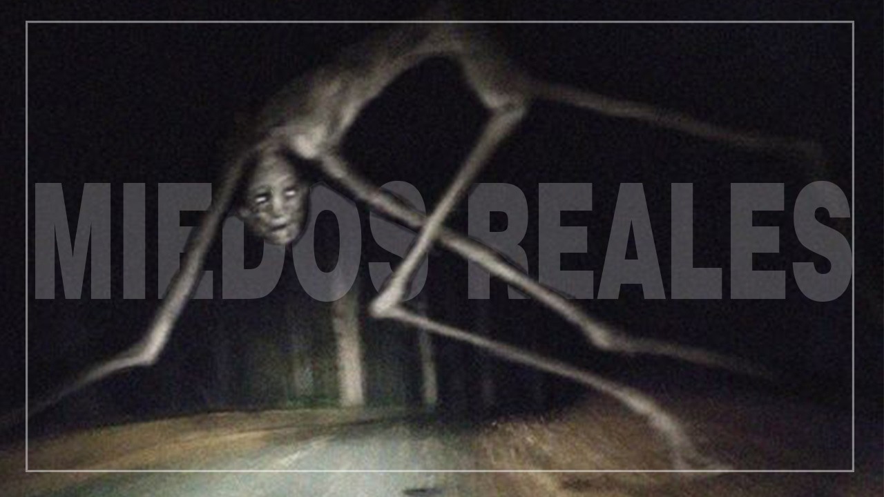 Monstruos ficticios - Miedos reales