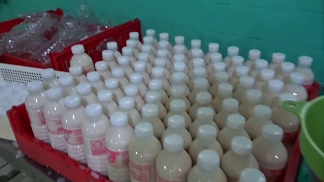 TOKWA AND SOYA MILK MASS PRODUCTION