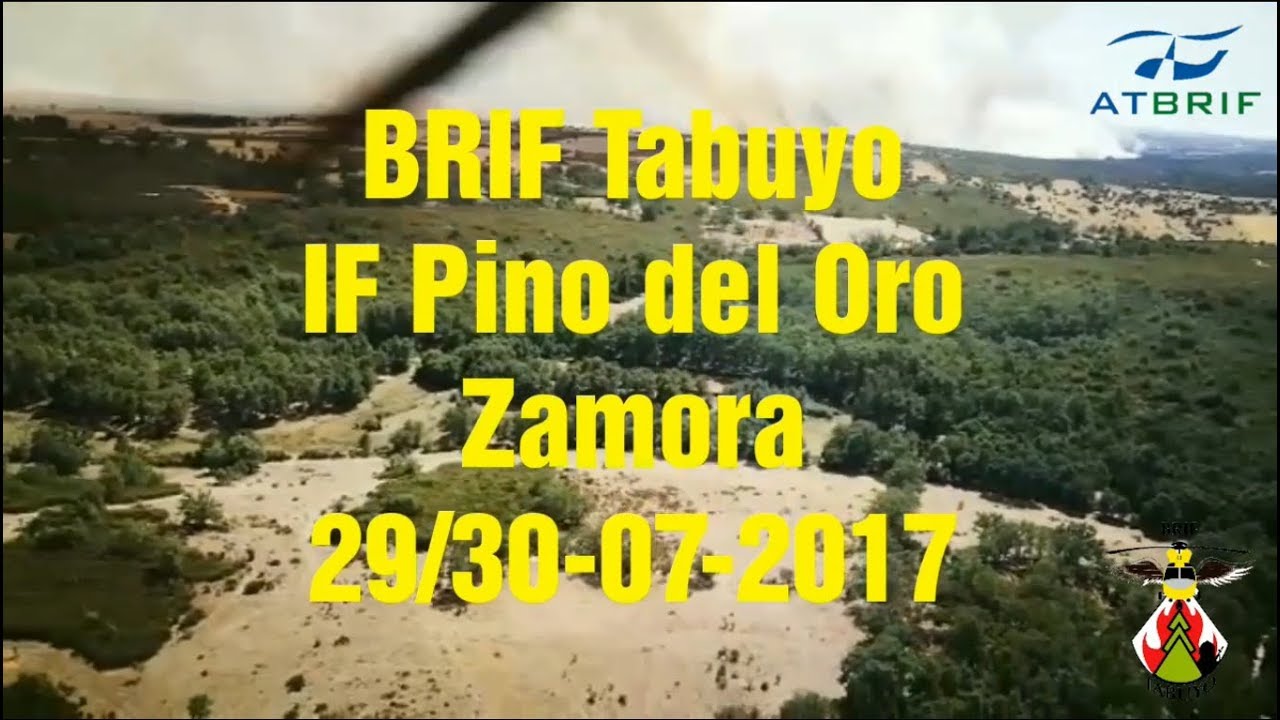 29-07-2017 IF Pino del Oro (BRIF Tabuyo)