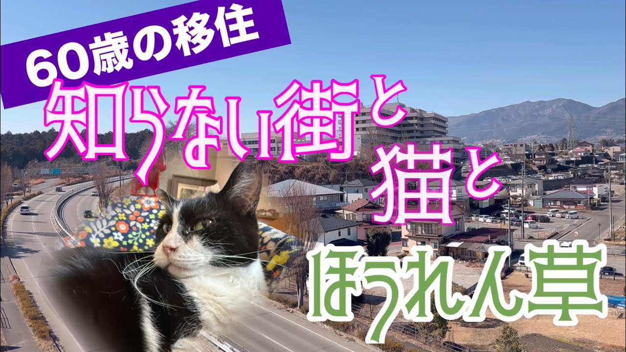 #1 【還暦！移住】知り合いゼロでも楽しくやってます